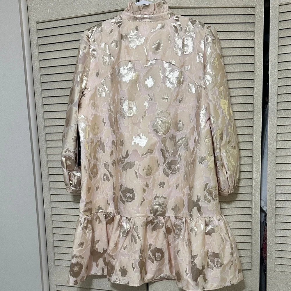 Tuckernuck champagne Fil Coupe Palmerston Dress - Picture 8 of 9